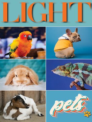 cover image of Light Issue 5 September October 2022